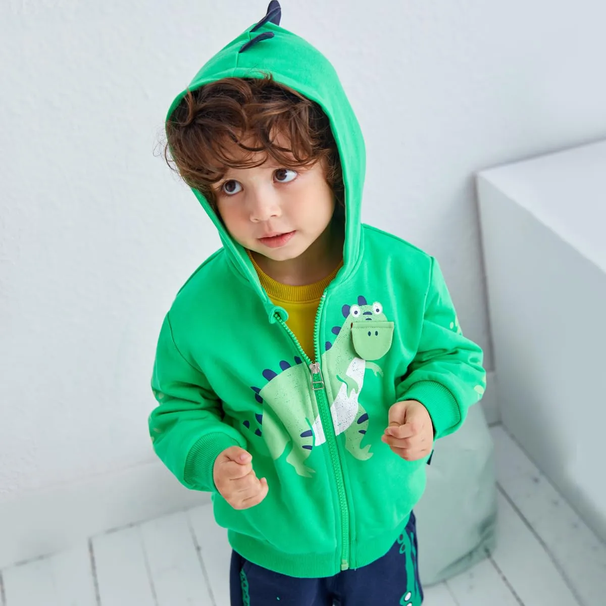 DDSOL Baby Boy Long Sleeve Jacket Clothes Toddler Zip-up Hoodies Dinosaur Sport Sweatshirt for 3-4 Years