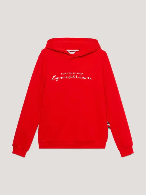 Tommy Hilfiger Metallic Logo Graphic Hoodie